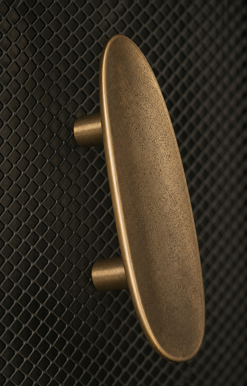 Cast bronze disc pull on a textured door panel
